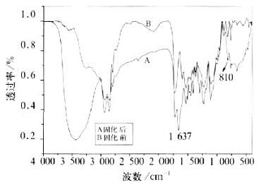 PUA/EA复合乳液UV固化前后的红外谱图